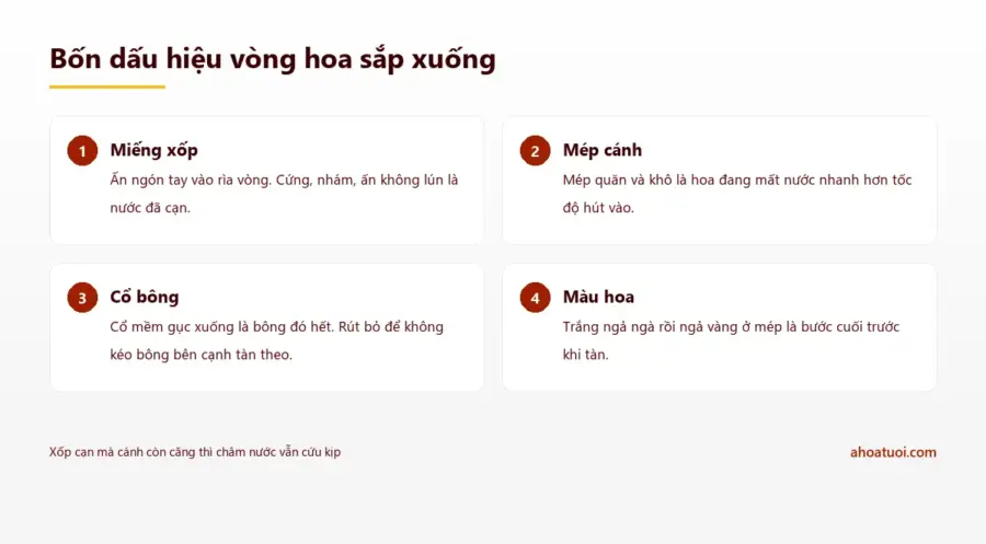 Bốn dấu hiệu nhận biết vòng hoa sắp tàn gồm miếng xốp cạn nước, mép cánh quăn khô, cổ bông gục và màu trắng ngả vàng