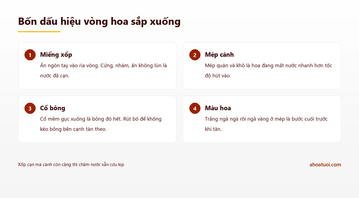 Bốn dấu hiệu nhận biết vòng hoa sắp tàn gồm miếng xốp cạn nước, mép cánh quăn khô, cổ bông gục và màu trắng ngả vàng