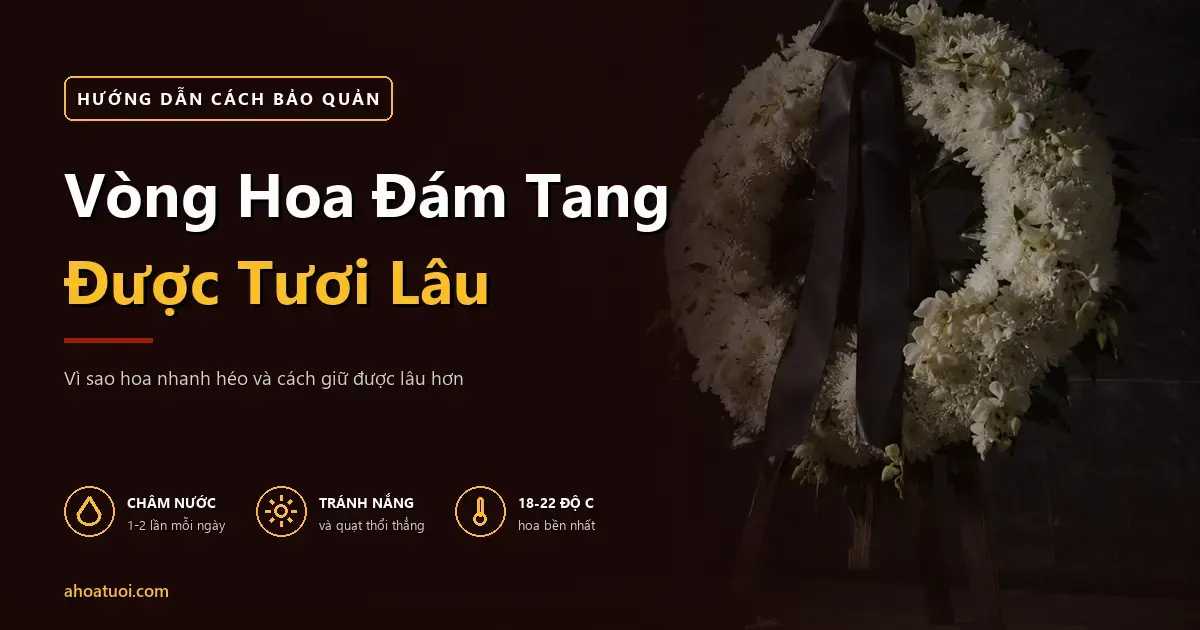 Hướng Dẫn Cách Bảo Quản Vòng Hoa Đám Tang Được Tươi Lâu